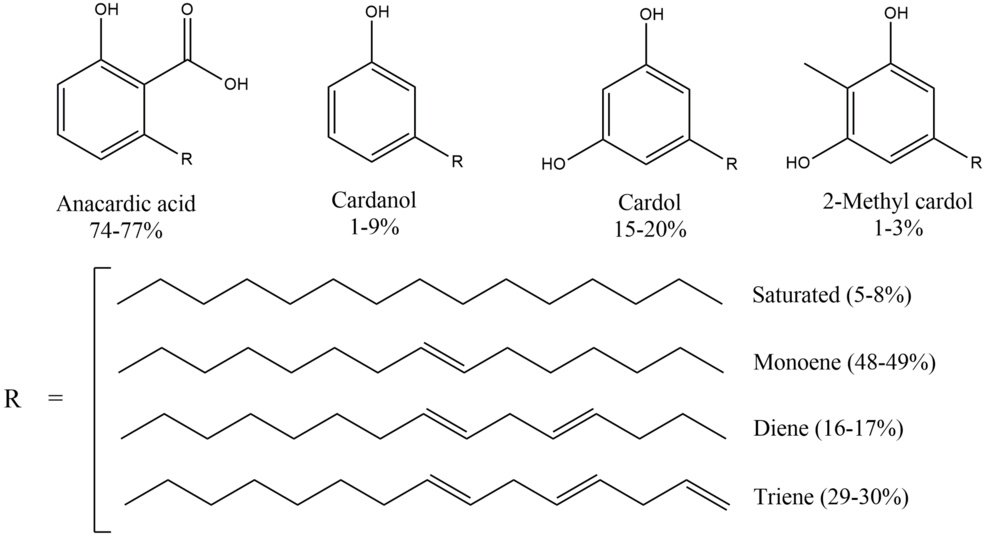Cardanol and Its Derivatives: Innovations in Waterborne Coating ...