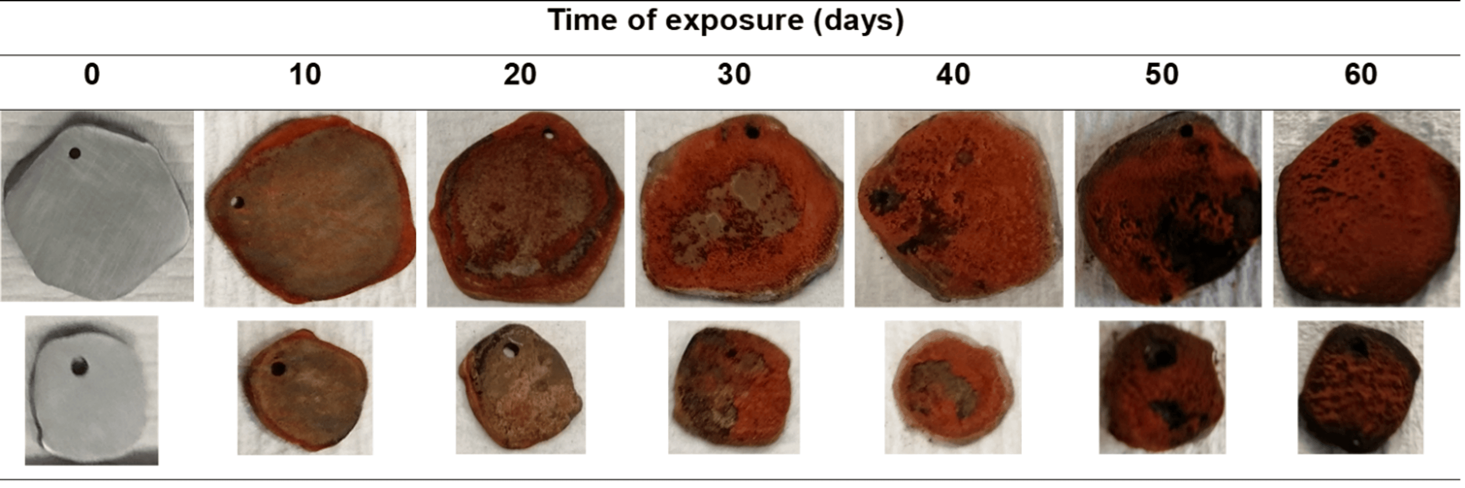 Assessing the Corrosion Behaviour of Reinforcement Mild Steel in Assessing the Corrosion Behaviour of Reinforcement Mild Steel in
