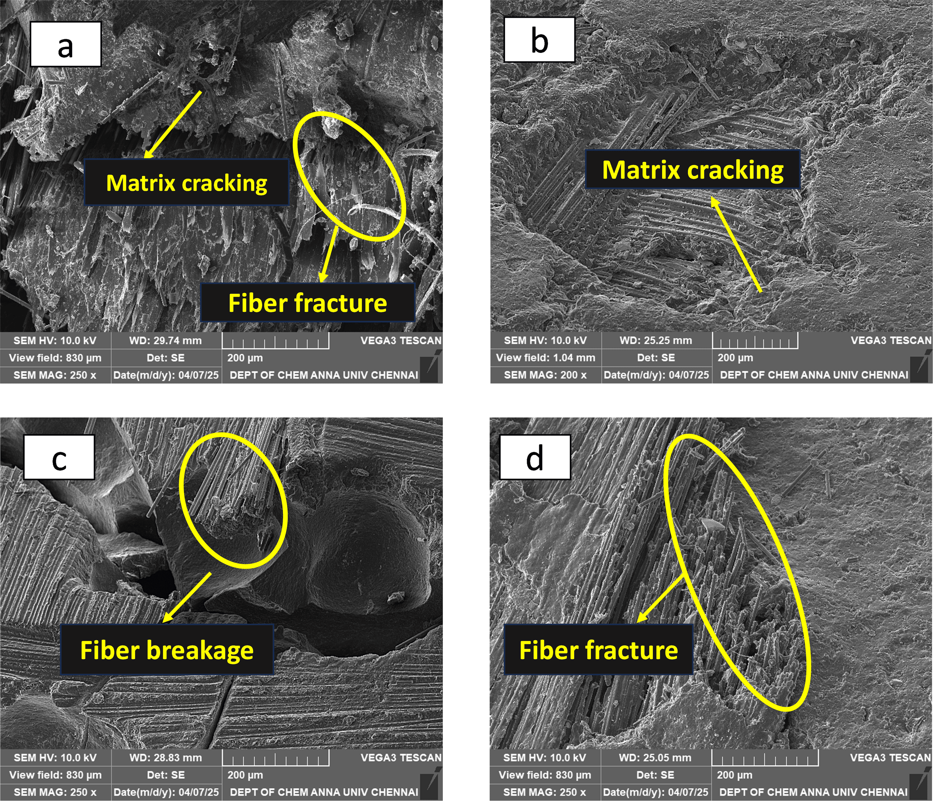 Influence of Thermoplastic Matrix on the Mechanical Behavior of