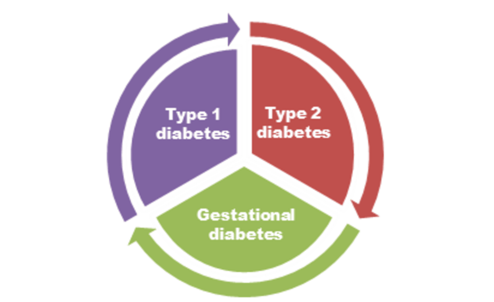 Hybrid Machine Learning Models for Accurate Type 2 Diabetes Mellitus ...