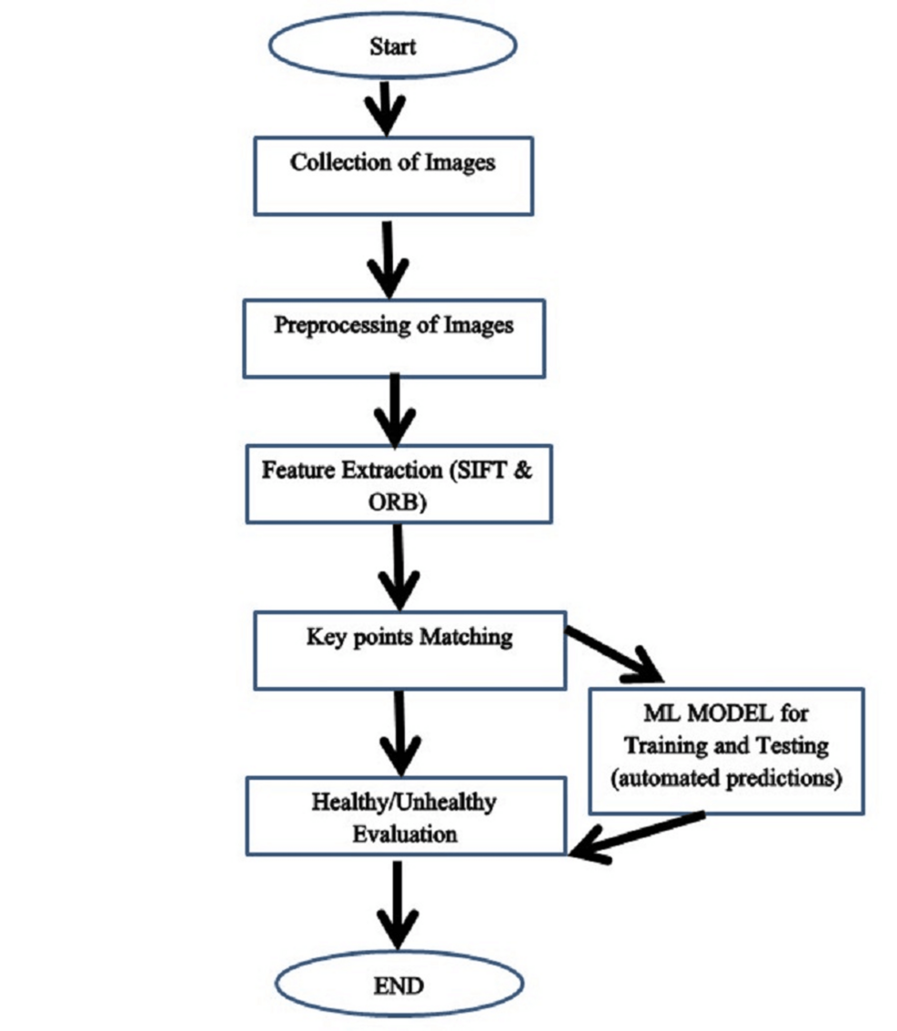 Crop Health Detection Using Image Processing and Machine Learning for ...