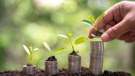 Key Trends in Sustainable Business Practices for a Greener Future